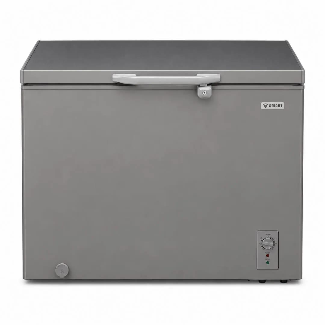 Congélateur 250 L - Image 1