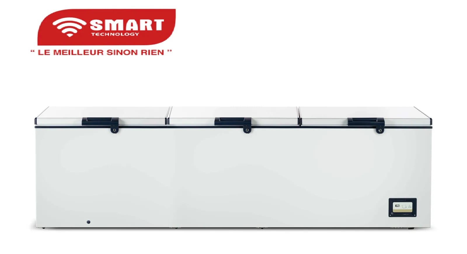 Congélateur horizontal 1388 L