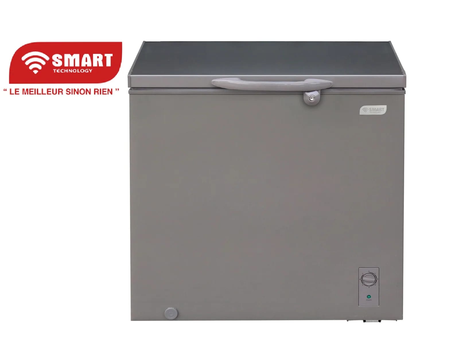 Congélateur horizontal 250 L