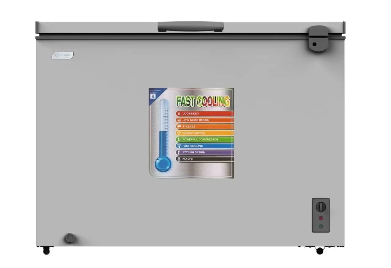Congélateur horizontal 250 L