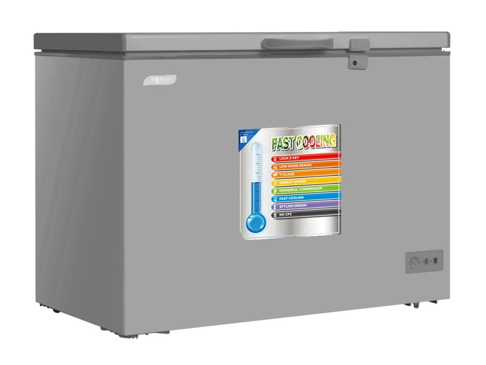 Congélateur horizontal vitré 300 L