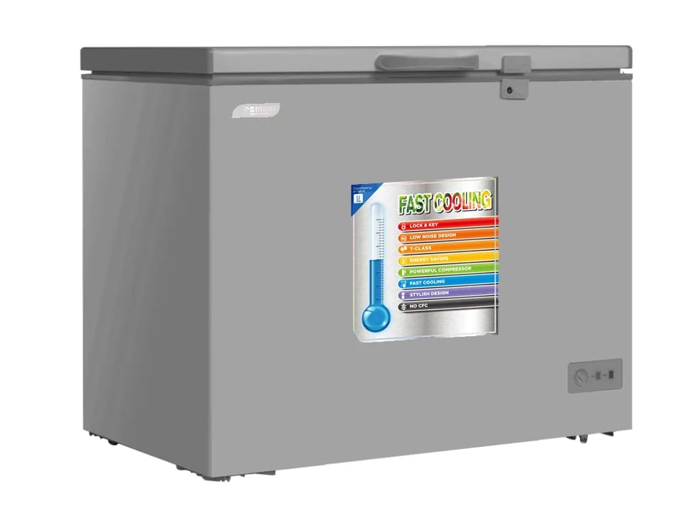 Congélateur horizontal 250 L