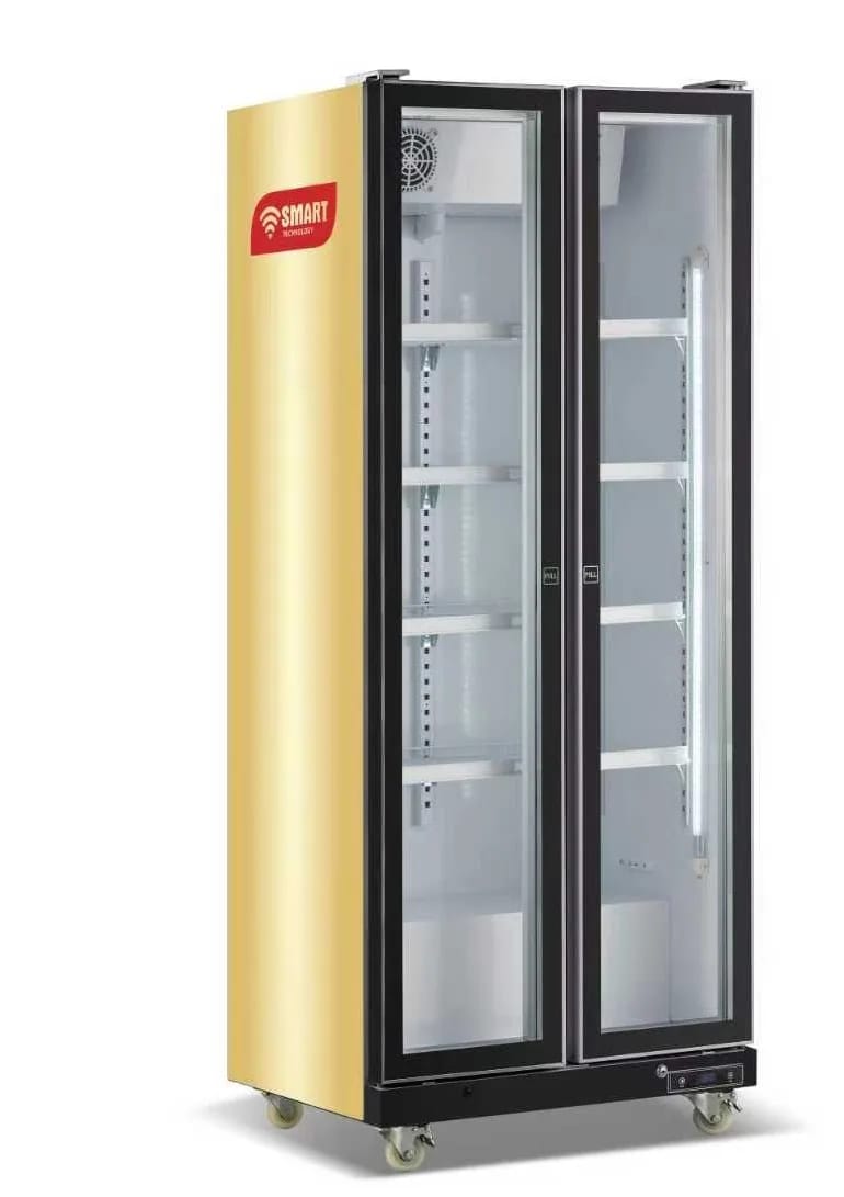 Refroidisseur vertical vitré 2 battants 483 L