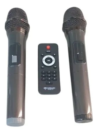 Enceinte rechargeable 100 W