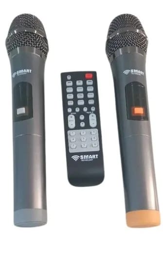 Enceinte rechargeable 80 W